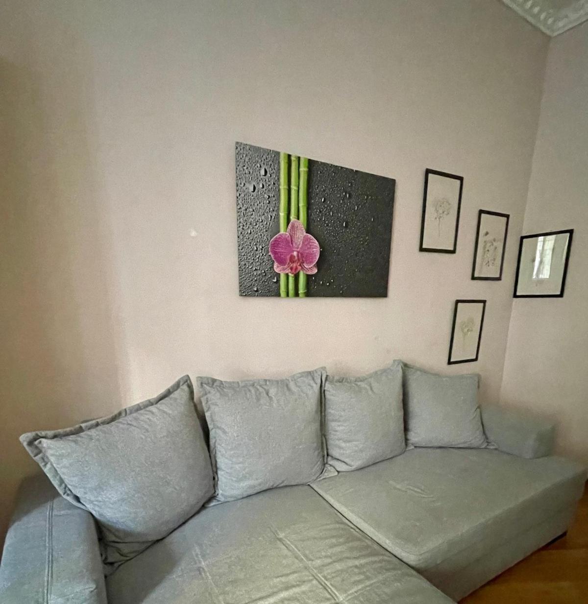 Gemutliche Wohnung Mit Super Lage ウィーン エクステリア 写真